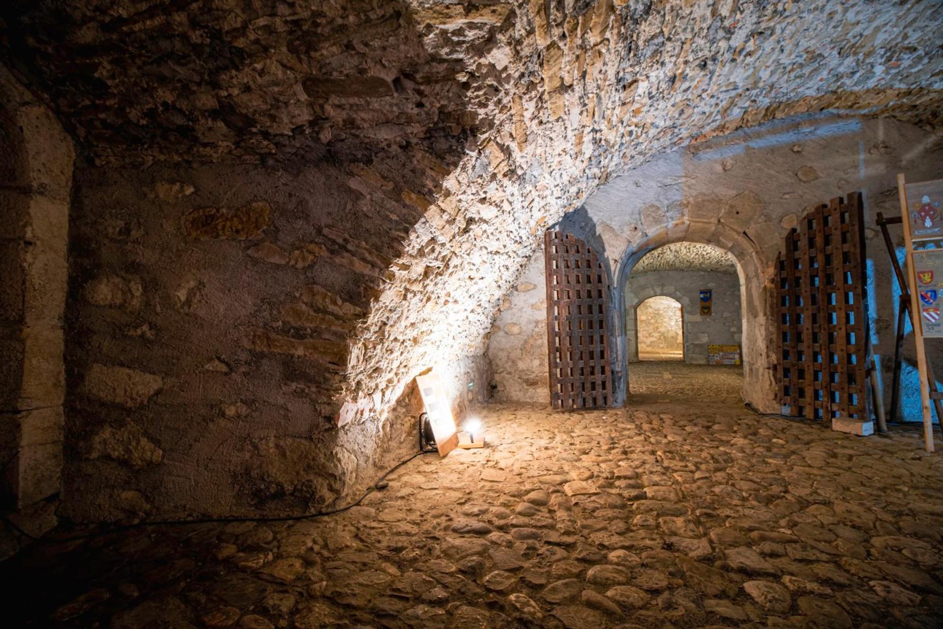 Chateau De Thorens Екстериор снимка